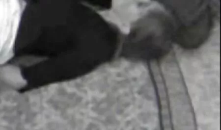 Tình phim sex khong che moi nhat video