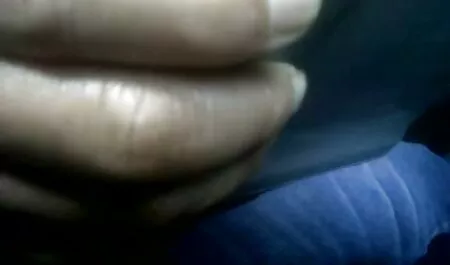 Hấp phim sex không che nhật bản dẫn bắt lớn